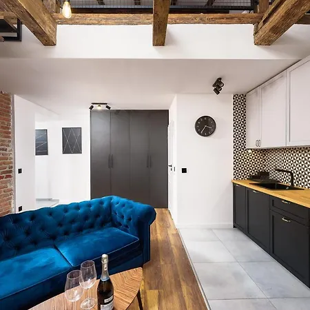 Apartamenty Piotrkowska 37 Loft W Centrum Lodzi Klimatyzacja Exteriér fotografie